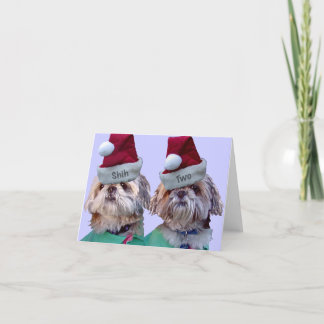 Cartão De Festividades Shih Tzu - Shih dois