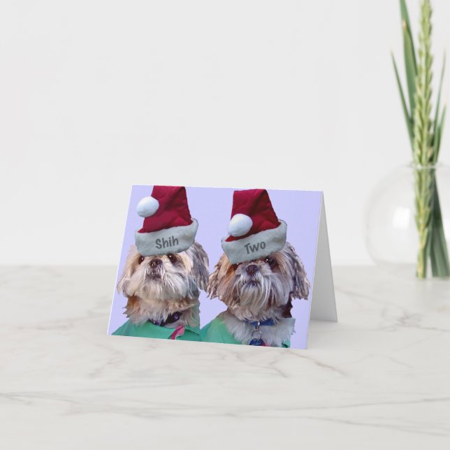 Cartão De Festividades Shih Tzu - Shih dois (Frente)