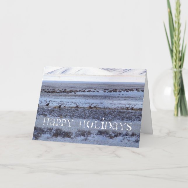 Cartão De Festividades Shootin (Frente)