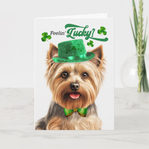 Cartão De Festividades Silky Terrier Se Sentindo Sortudo no Dia de São Pa