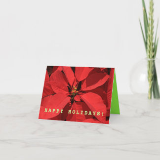 Cartão De Festividades Simples Poinsettia Natal