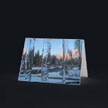 Cartão De Festividades Sincelos do inverno<br><div class="desc">Foto recolhida claramente,  Washington.  Foto e artigo por Caleb Wirth.</div>