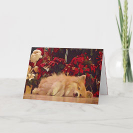 Cartão De Festividades Sleepy Christmas Corgi