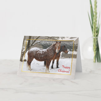 Cartão De Festividades Snow covered horses Christmas