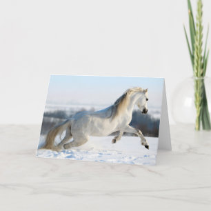 Cartão De Festividades Snow Runner