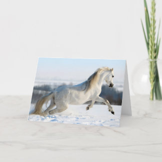 Cartão De Festividades Snow Runner