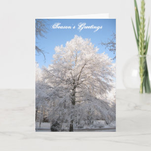 Cartão De Festividades Snow Tree Christmas Card