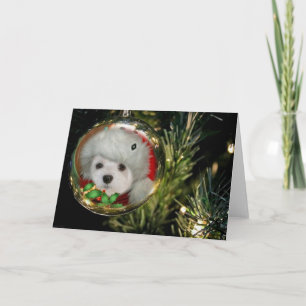 Cartão De Festividades Snowdrop os Malteses no Natal