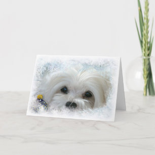 Cartão De Festividades Snowdrop the Maltese Christmas Card