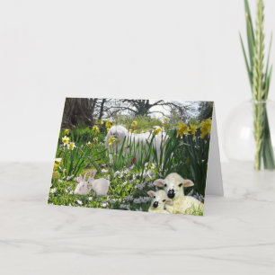 Cartão De Festividades Snowdrop the Maltese Easter Card