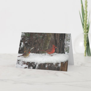 Cartão De Festividades Snowy Cardinals e Towhere