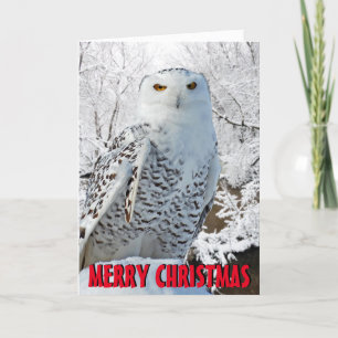 Cartão De Festividades Snowy owl Christmas Card