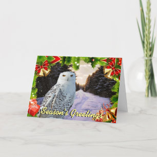 Cartão De Festividades Snowy owl Christmas card