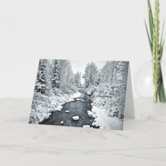 Cartão De Festividades Snowy San Miguel em Telluride Colorado