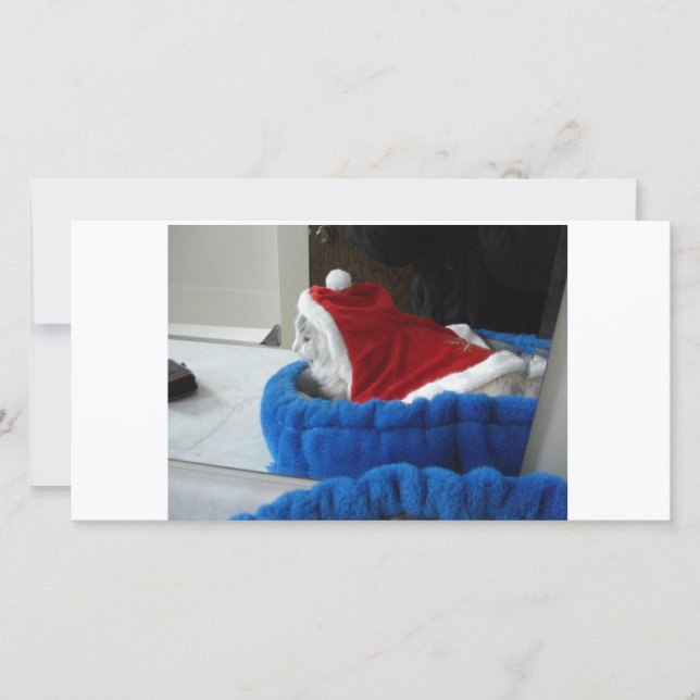 Cartão De Festividades Snuggler é patas do papai noel (Frente)