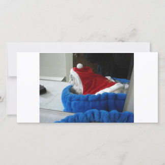 Cartão De Festividades Snuggler é patas do papai noel