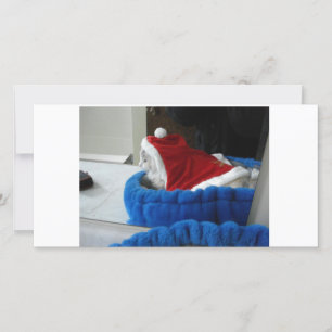 Cartão De Festividades Snuggler is Santa Paws