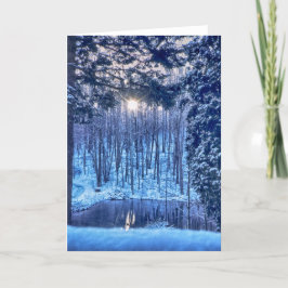 Cartão De Festividades Sol através das Árvores sobre Pond na neve