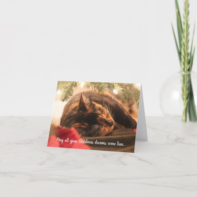 Cartão De Festividades Sonhos de Natal Gato Calico Adormecido, Personaliz (Frente)