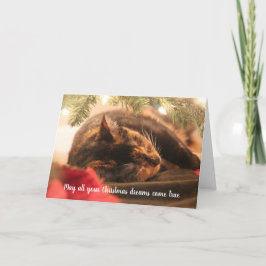 Cartão De Festividades Sonhos de Natal Gato Malhado Adormecido, Personali