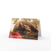 Sonhos de Natal Gato Malhado Adormecido, Personali