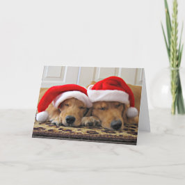Cartão De Festividades Sonhos de Natal para Retriever de ouros