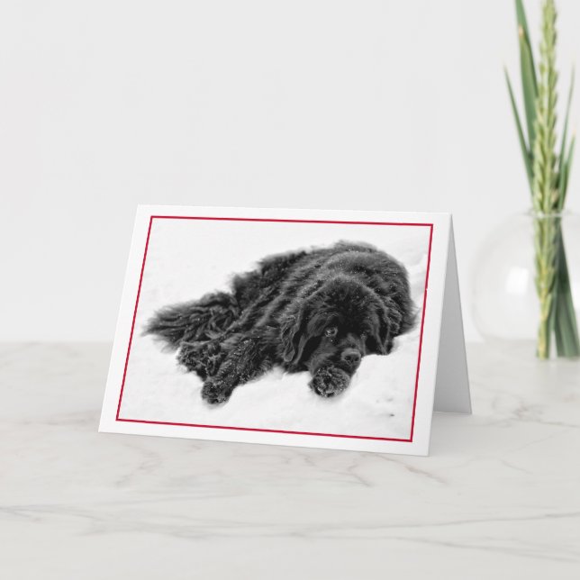 Cartão De Festividades Sonhos do inverno (Frente)