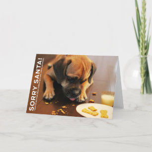 Cartão De Festividades Sorry Santa