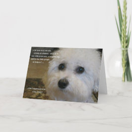 Cartão De Festividades Sou eu suposto ser excitado?