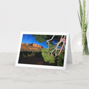 Cartão De Festividades Southwest Christmas