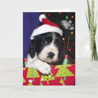 Cartão De Festividades Spaniel de Springer inglês preto e branco Christma