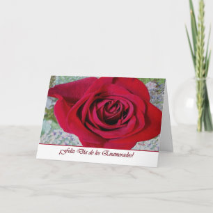Cartão De Festividades Spanish Valentine’s Day, Red Tiled Rose