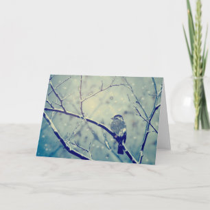 Cartão De Festividades Sparrow on the snowy branch