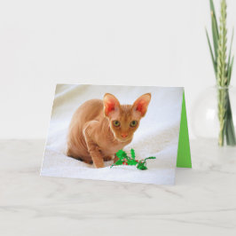 Cartão De Festividades Sphinx Cat Holly Feliz Natal