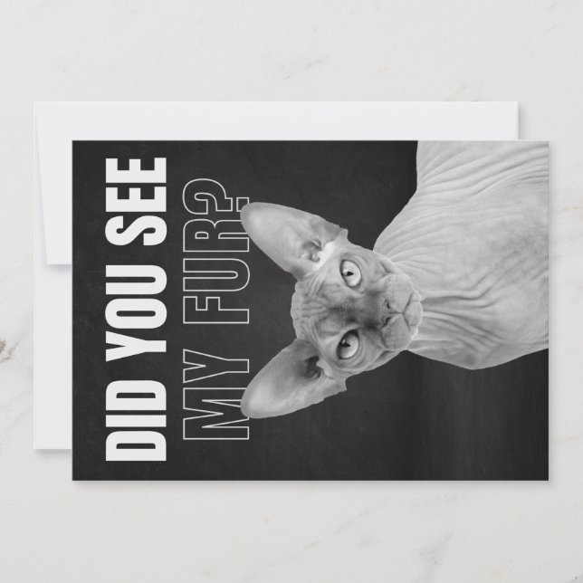 Cartão De Festividades Sphynx Cat Sarcastic Fur Humor Illustration (Frente)