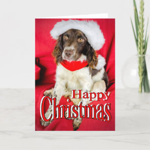 Cartão De Festividades Springer Christmas
