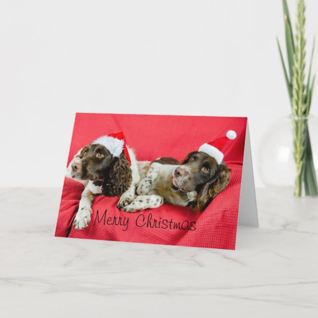 Cartão De Festividades Springers (Frente)