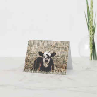 Cartão De Festividades Springtime Calf - 4" x 5.6" Notecard