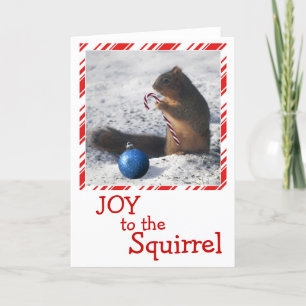 Cartão De Festividades Squirrel Christmas ornament greeting card