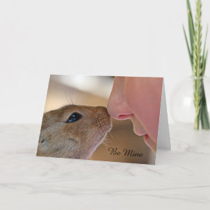 Cartão De Festividades Squirrel Love Be Mine Dia de os namorados