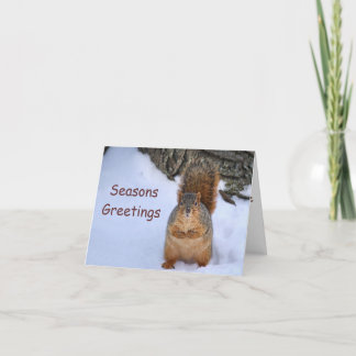 Cartão De Festividades SquirrelChristmas