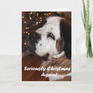 Cartão De Festividades St Bernard Christmas greeting card