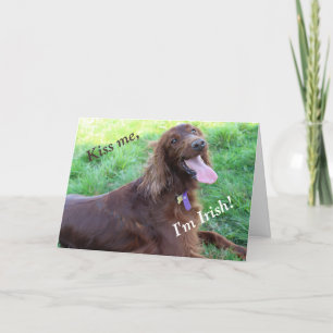 Cartão De Festividades St. Patrick's Day Card featuring an Irish Setter
