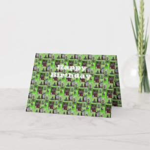 Cartão De Festividades Staffordshire Bull Terriers, Birthday Card