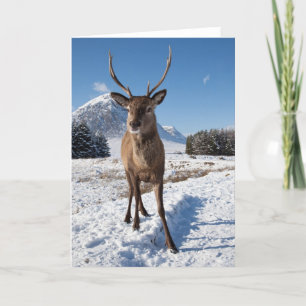Cartão De Festividades Stag and Mountains