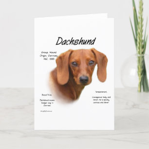 Cartão De Festividades Suave Dachshund Encontra a Raça