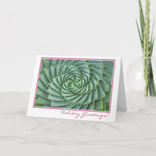 Cartão De Festividades Succulent