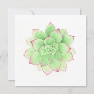 Cartão De Festividades Succulent - Arte original de Meghann Russell