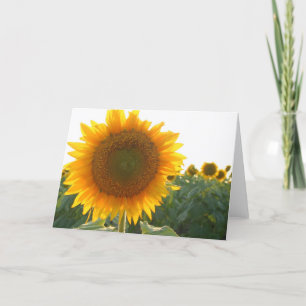 Cartão De Festividades Sunflower heart card (blank)