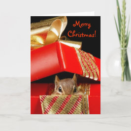 Cartão De Festividades Surpresa de Natal!